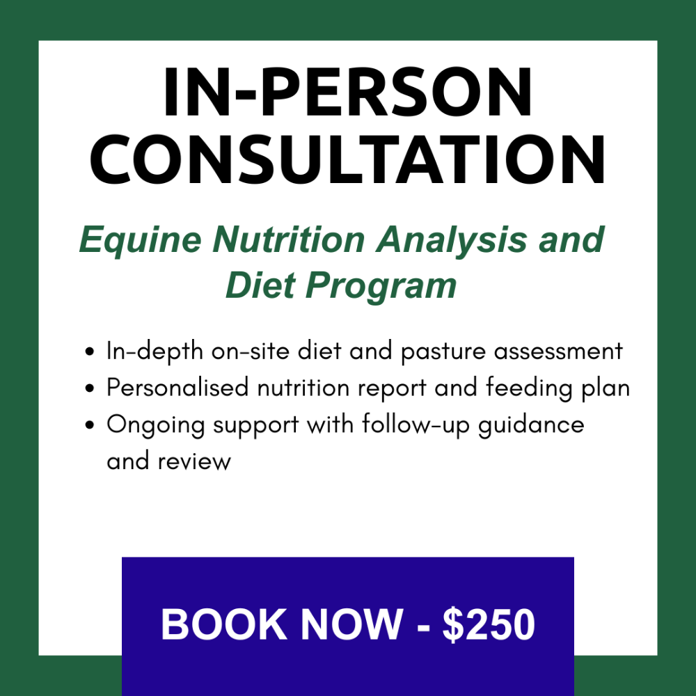 Online Nutrition Consultation